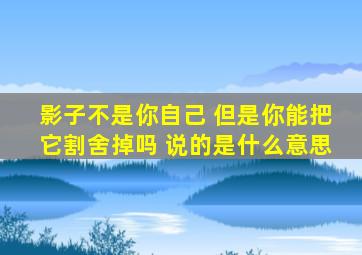 影子不是你自己 但是你能把它割舍掉吗 说的是什么意思